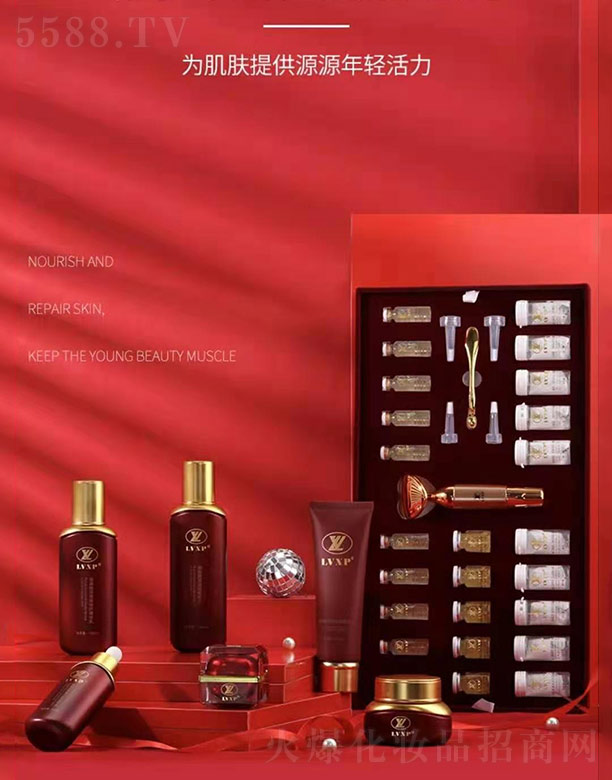 �׽������݌��׺�