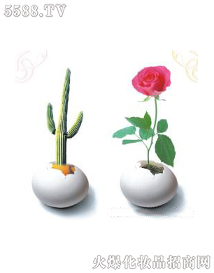 ��ǻ�ޏ�(f��)3��ɆT