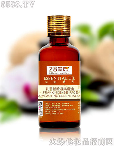 ������Ę�o������