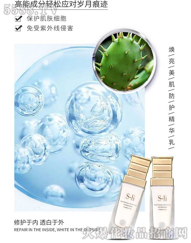 ������ޱ�����������o���A��