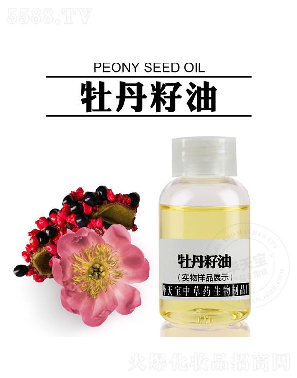 �A�쌚ĵ������