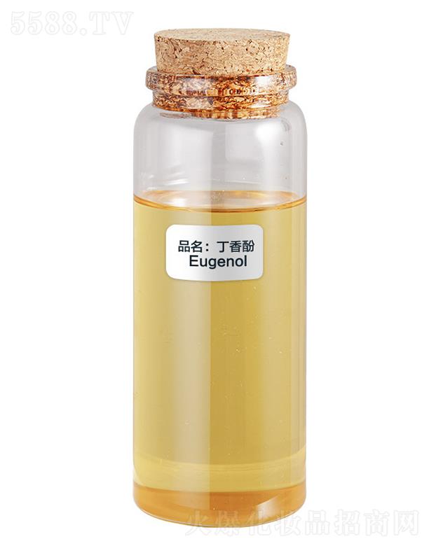 ɭ�������