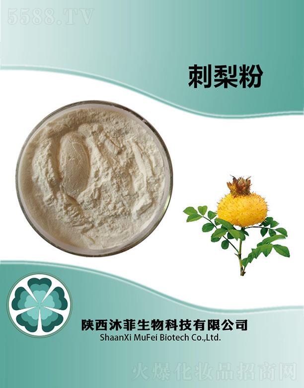 ��ƴ����