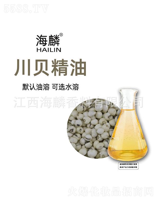 ���봨ؐ����