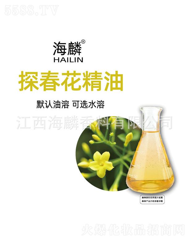 ����̽��������