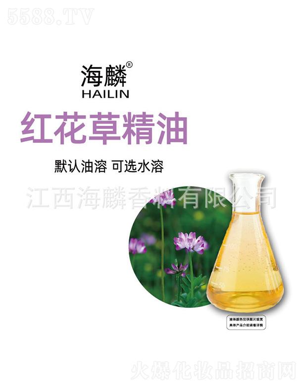 ����t���ݾ���