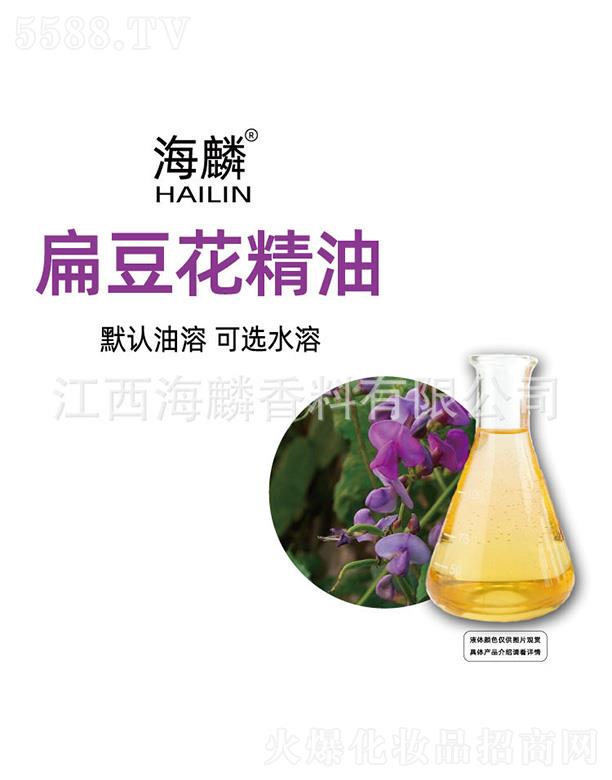 ����ⶹ������