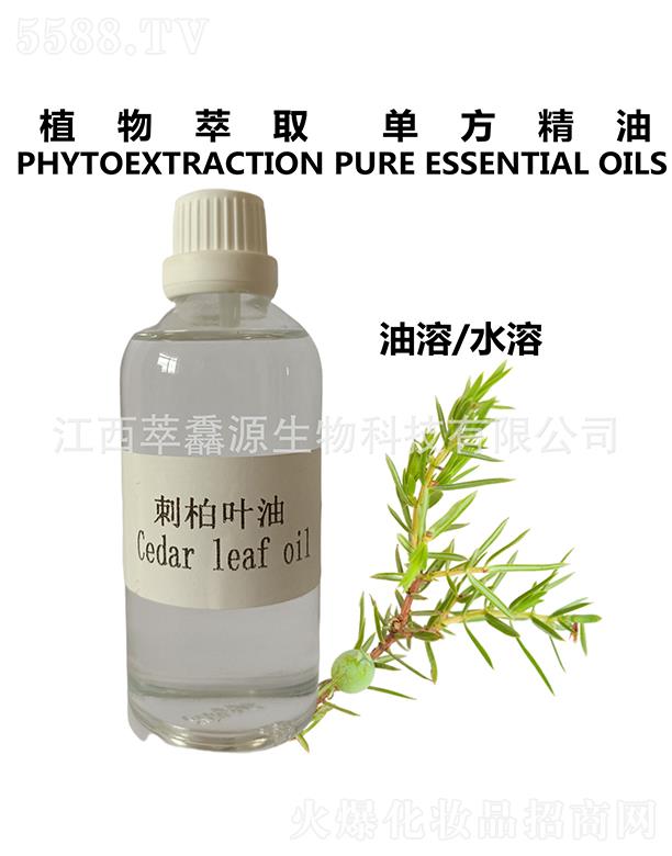 ���QԴ�̰��~��