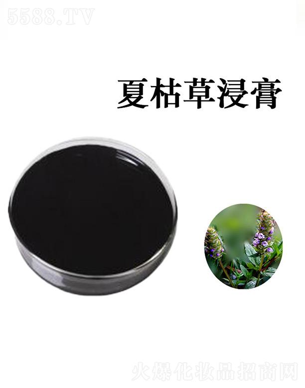 �G�R�Ŀݲݽ���