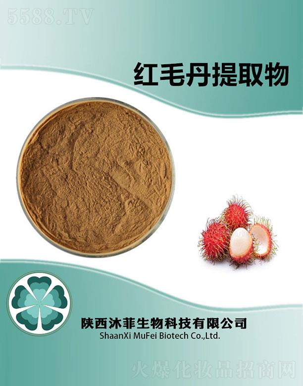 ��Ƽtë����ȡ��