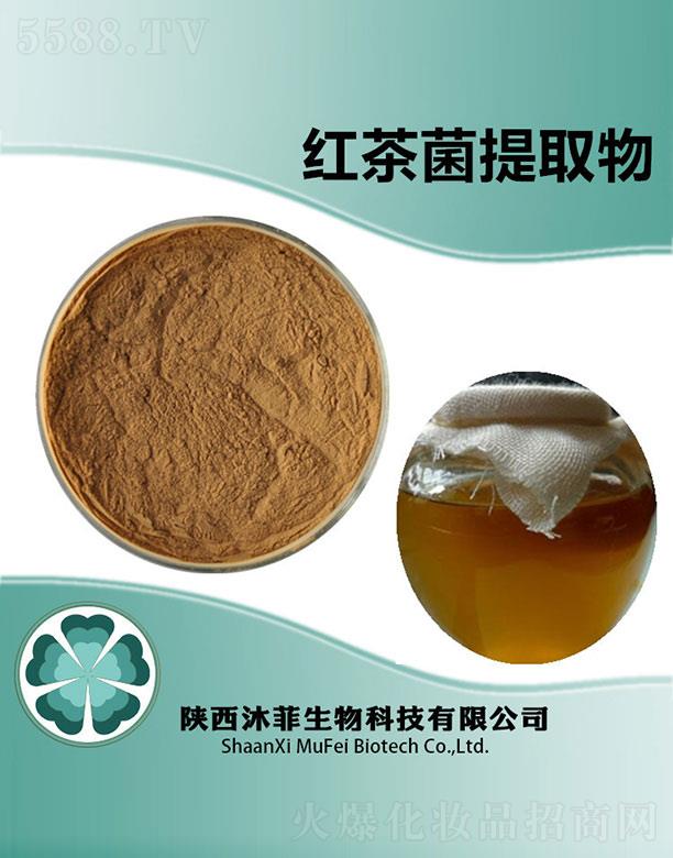 ��Ƽt�����ȡ��