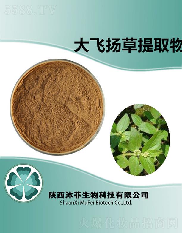 ��ƴ��w�P(y��ng)����ȡ��