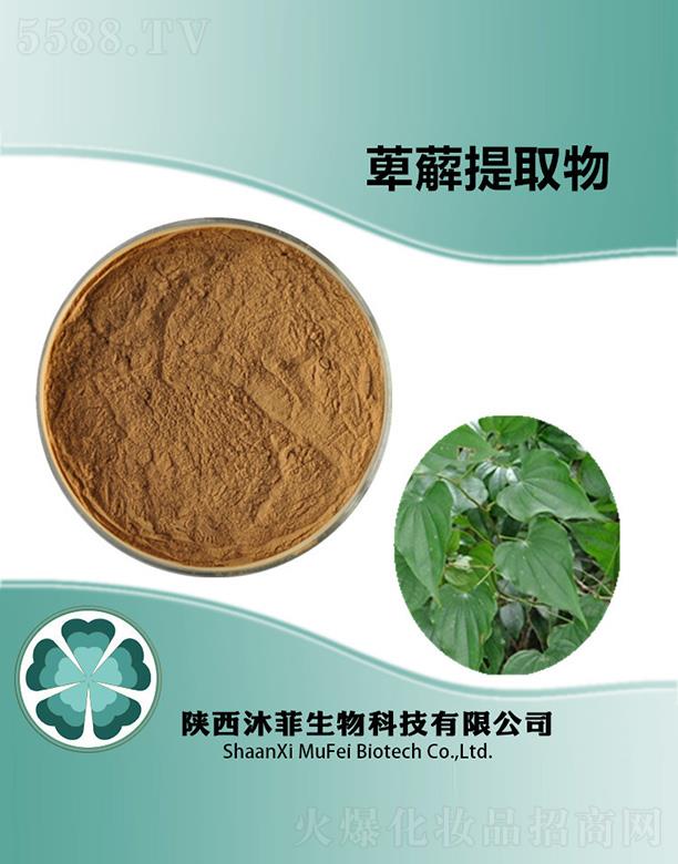 ������Z��ȡ��