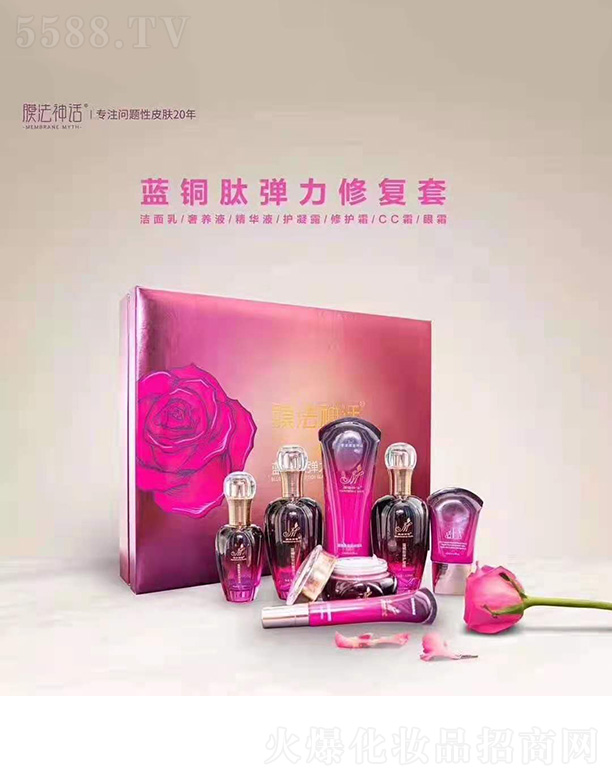 Ĥ����Ԓ�{(l��n)�~�ď����ޏ�(f��)��