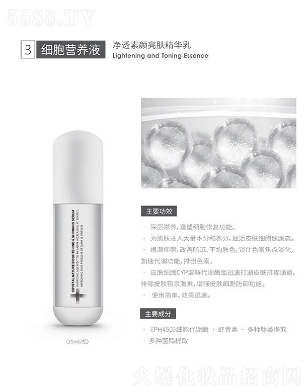 ��͸������w���A��