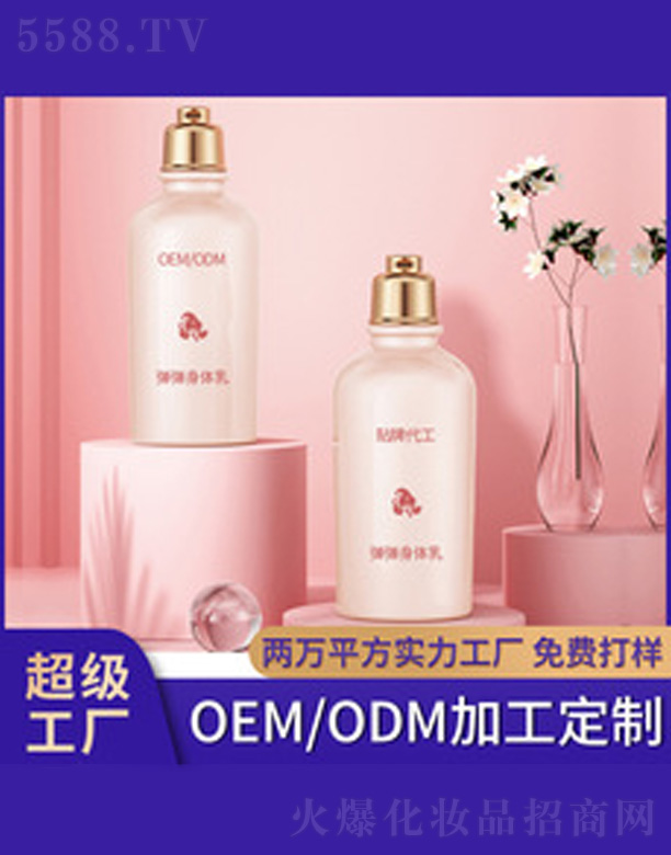 ���ۏ������w��