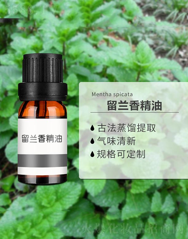 ���m�㾫��