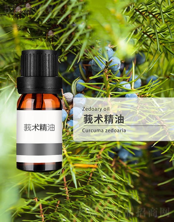 ݭ�g(sh��)����