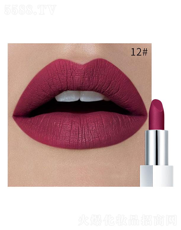 Pudaier�貽z�q�ڼt12#