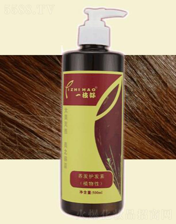 һ֦���B(y��ng)�l(f��)�o(h��)�l(f��)��(500ml) �^�l(f��)������호��Џ���