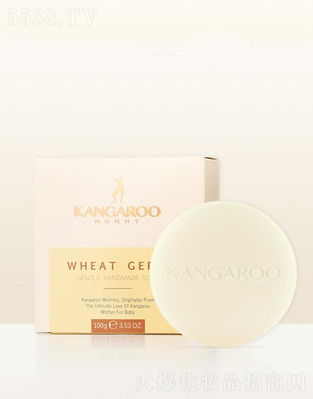 ���󋌋�С����ѿ�坙(r��n)���w�� 100g�ӌ�ጷ�����ˮ���x�輡�wˮ��(r��n)����