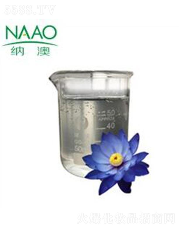 �{��̩���{(l��n)ɏ����¶ �͜����s