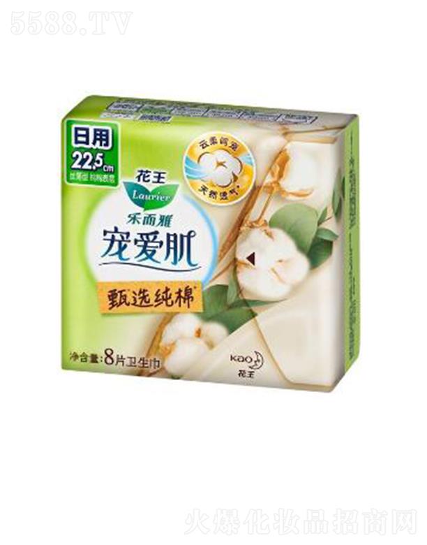 �����Ō��ۼ����x���޽z����22.5cm��8p��ס������ܛ