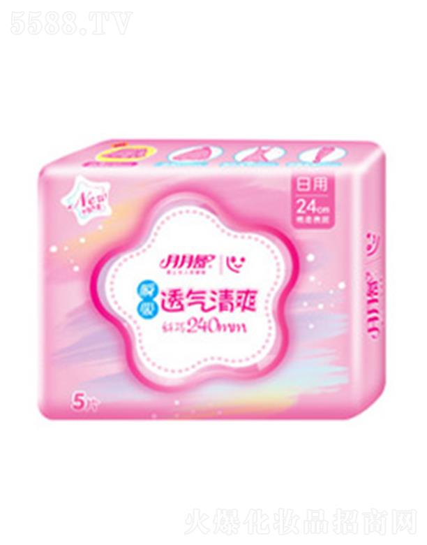 ������˲������240����5Ƭ�b�l(w��i)���� 240mm�������՟o(w��)�B©