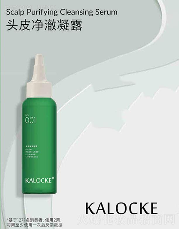 KALOCKE�^Ƥ������¶oem