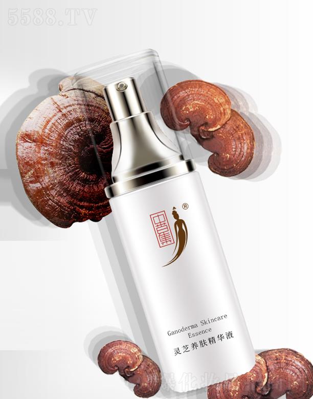 �вݼ��`֥�B(y��ng)�w���AҺ