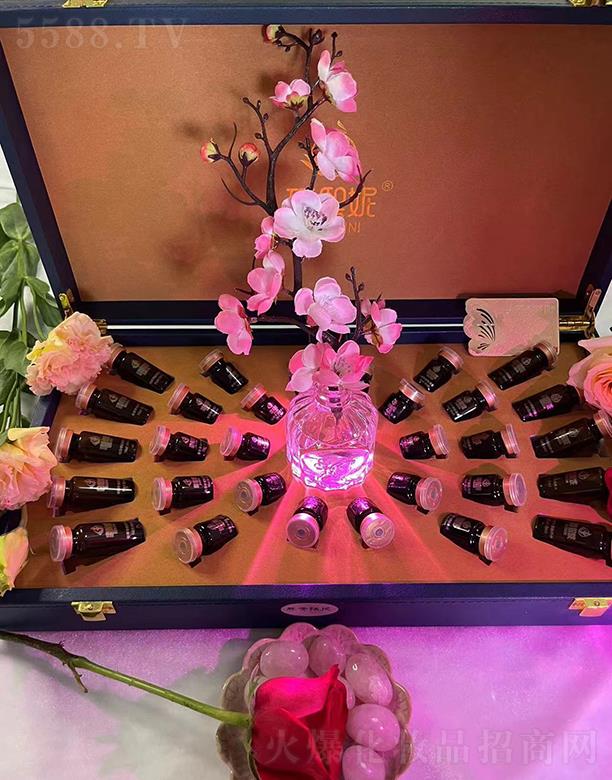 ���������w�B(y��ng)��