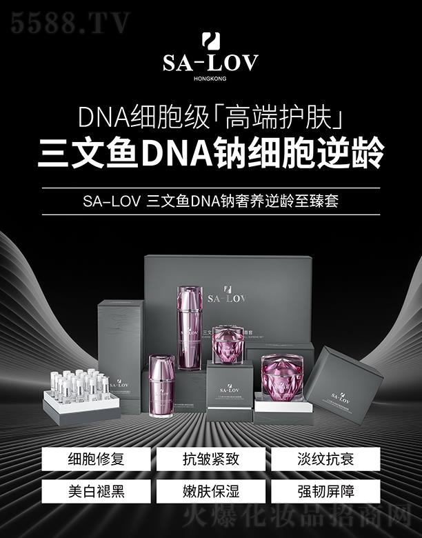 SA-LOV�����~DNA�c�������gϵ��