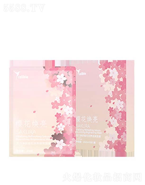 ���������ѻ���(r��n)�B(y��ng)������Ĥ