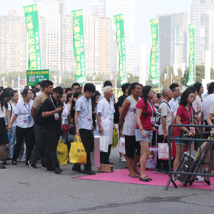 2019�������I(y��)���[��(hu��)���𱬾W(w��ng)�F(tu��n)�(du��)����������