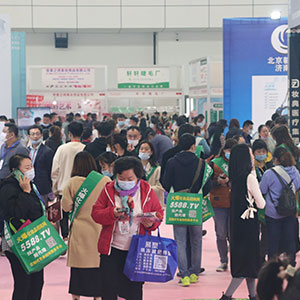 2020���ϸ߶����I(y��)���[���҂������̈F��c�͑�һ·���S��