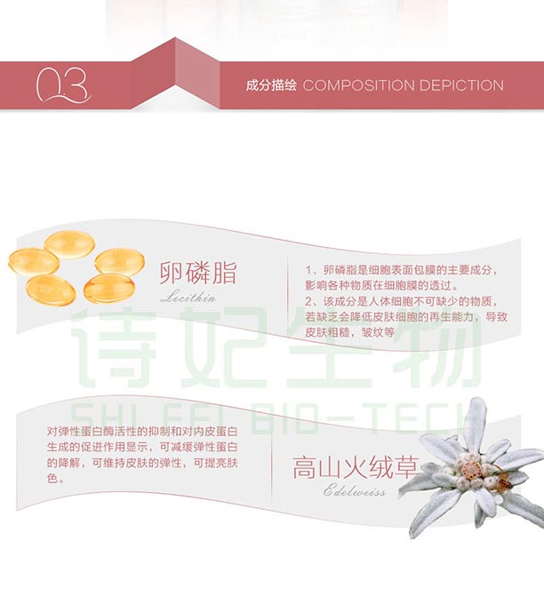 ����֬���B(y��ng)���o(h��)ϵ�У��o(h��)�w���b��