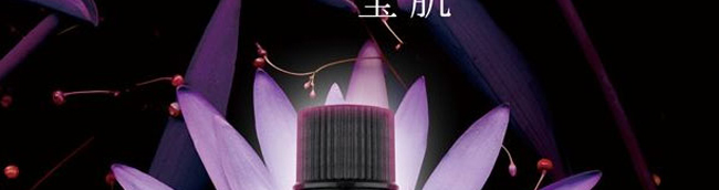 �����_(d��)��侫��