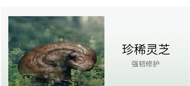 ��?ji��)��`֥�ɲ�ϵ���o(h��)�w�׽M