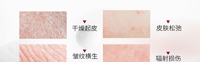 靈芝臻養(yǎng)嫩膚霜 靈芝臻養(yǎng)嫩膚霜