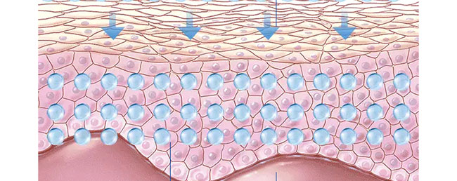 ������ˮ���Q�z��Ĥ