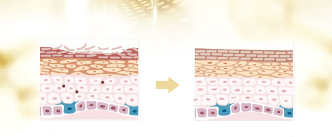 �nԊȪˮ����������