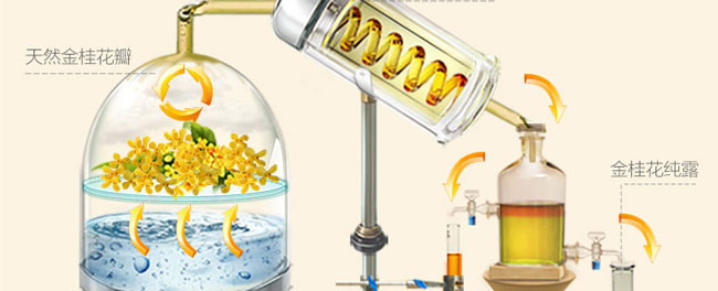 ����ɏ�����Ĥ�N