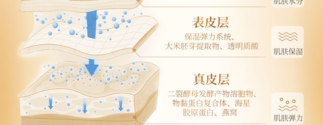 ˮ���ˮ�❙(r��n)�B(y��ng)ϵ���׺У�32���ף�