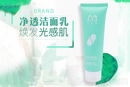 �����\��͸������