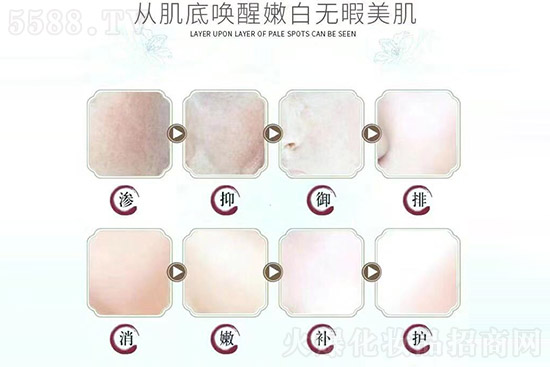 專注問題肌膚修護(hù) 專注問題肌膚修護(hù)