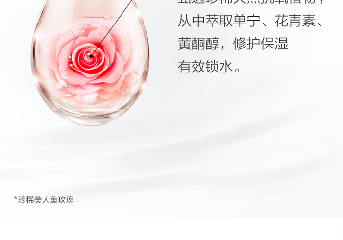 �ŭZ������(r��n)͸��õ�弃¶