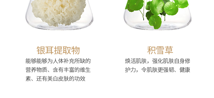 ���ǉ��ɼ���͸�B(y��ng)�o(h��)��