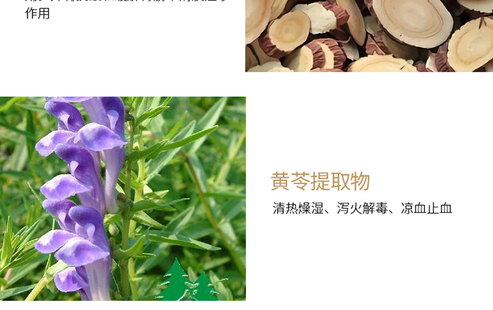 Ԕ��-����澏���AҺ