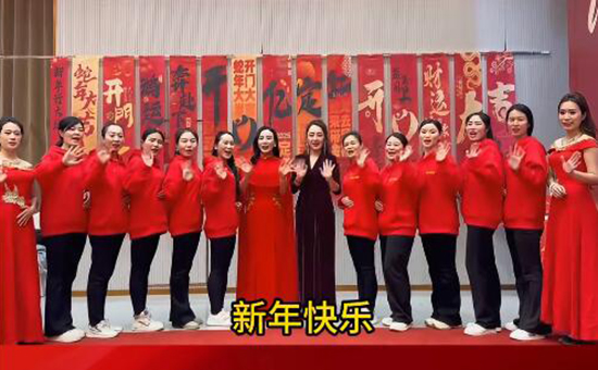 飛斯達(dá) 飛斯達(dá)